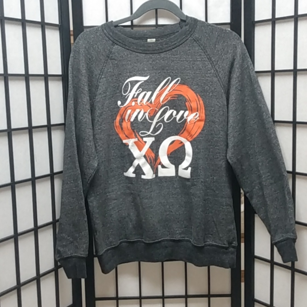 Alternative Earth long sleeve grey sweater with graphics size medium